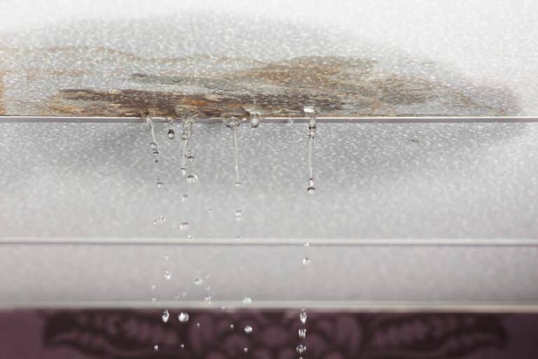 Water Leaks.