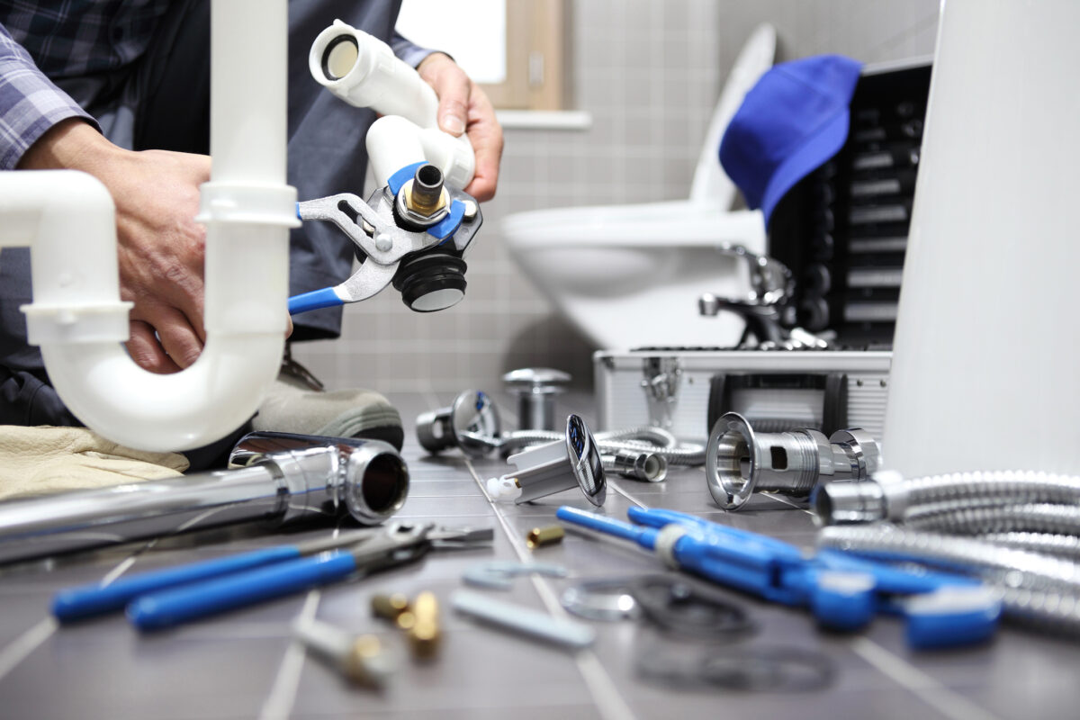 Toilet Repair.