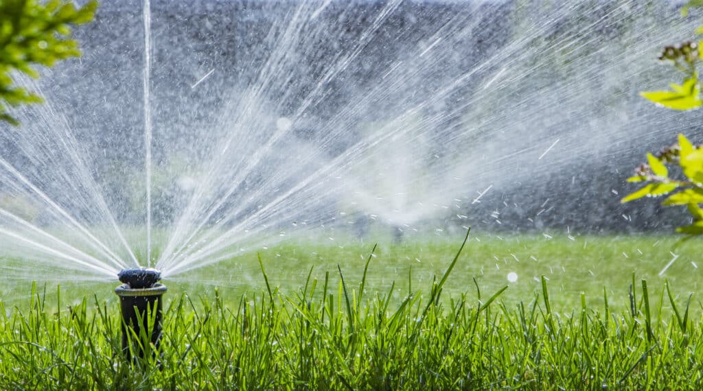 Sprinkler System Issues
