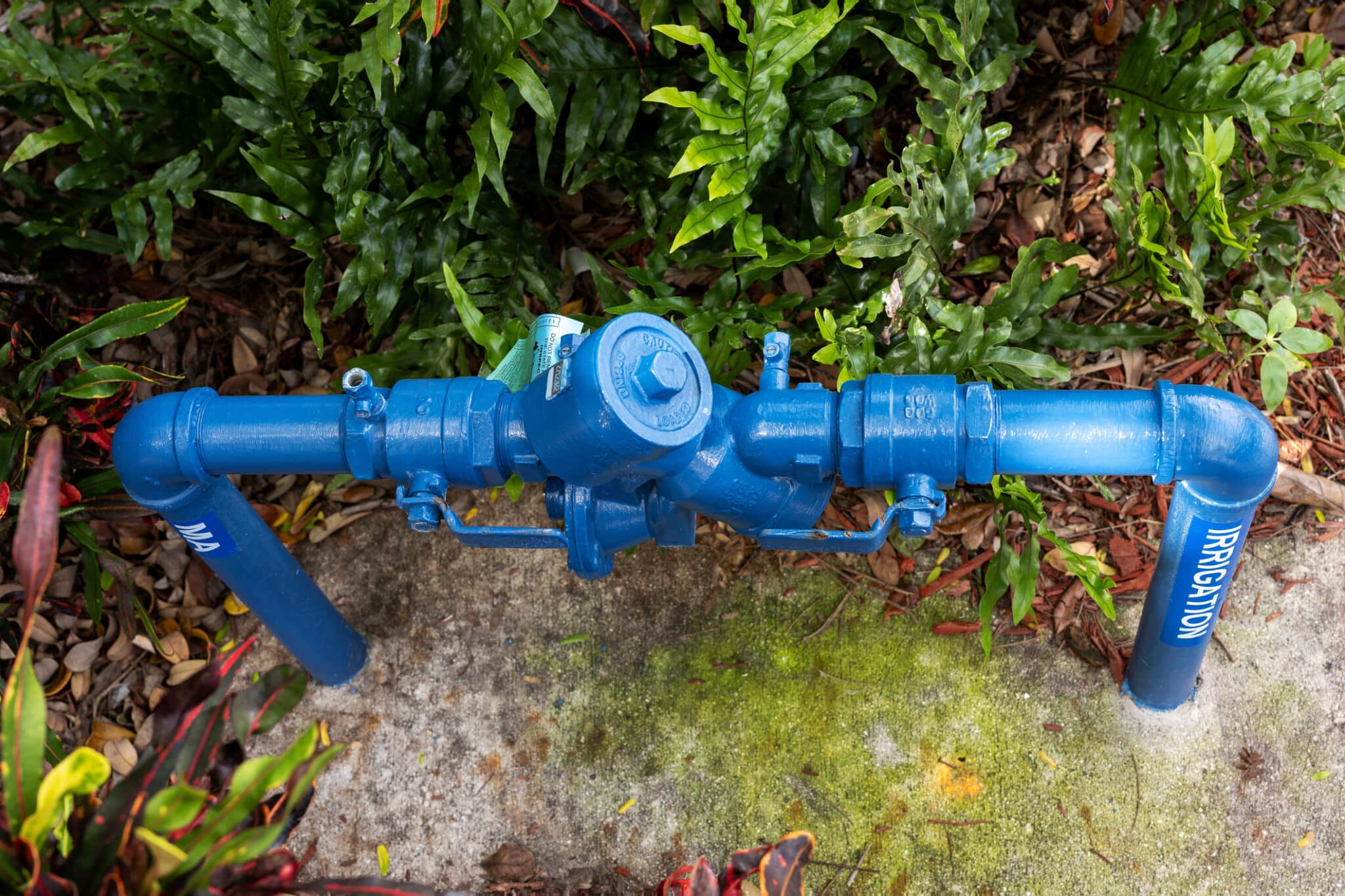 Blue backflow preventer.